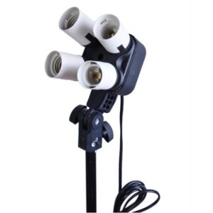 dui-den-4bong-vuong-2