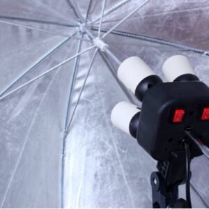 dui-den-4bong-vuong-5