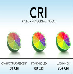 Khái niệm và tầm quan trọng của chỉ số CRI