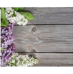 Mua Phông 3D chụp ảnh sản phẩm – mã MB15 Giá Tốt