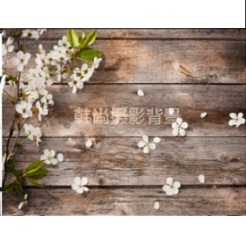 Mua Phông 3D chụp ảnh sản phẩm – mã MB2 Giá Tốt