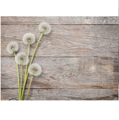 Mua Phông 3D chụp ảnh sản phẩm – mã MB57 Giá Tốt