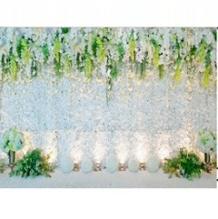 Mua Phông 3D chụp hình cưới, ảnh nghệ thuật độc đáo – mã W027 Giá Tốt