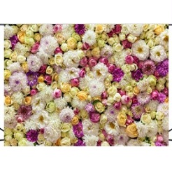 Mua Phông 3D chụp hình cưới, ảnh nghệ thuật độc đáo – mã W085 Giá Tốt