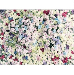 Mua Phông 3D chụp hình cưới, ảnh nghệ thuật độc đáo – mã W086 Giá Tốt