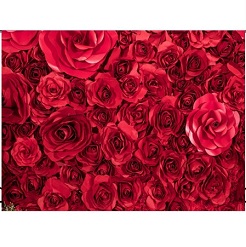 Mua Phông 3D chụp hình cưới, ảnh nghệ thuật độc đáo – mã W087 Giá Tốt