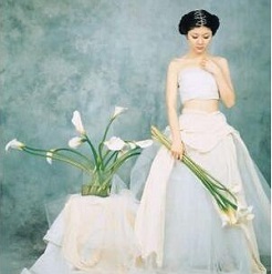 Mua Phông loang chụp ảnh mã MN-8 Giá Tốt 5