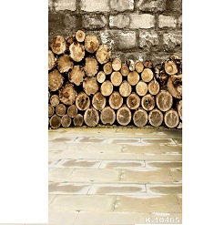 Mua Phông 3D chụp ảnh 2.5×3.75m mã K-10465 Giá Tốt