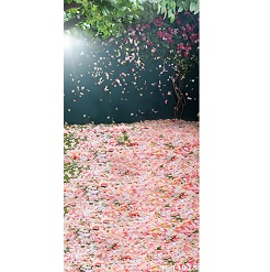 Mua Phông 3D chụp ảnh 2.5×3.75m mã K-11973 Giá Tốt