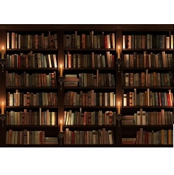 Mua Phông 3D chụp ảnh 3x3m mã K-350 Giá Tốt