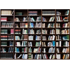 Mua Phông 3D chụp ảnh 2x3m mã K-353 Giá Tốt