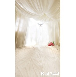 Mua Phông 3D chụp ảnh 2.5×3.75m mã K-4344 Giá Tốt