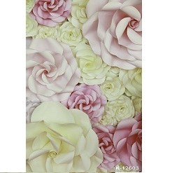 Mua Phông 3D chụp ảnh 2x3m mã K-12603 Giá Tốt