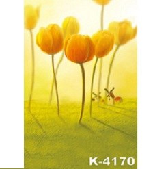 Mua Phông 3D chụp ảnh 2x3m mã K-4170 Giá Tốt