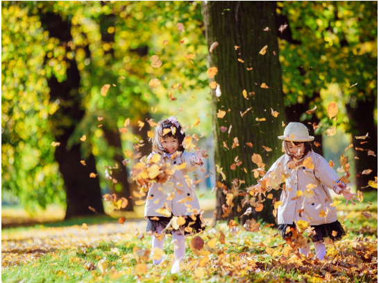 Chụp ảnh màu sắc mùa thu cuốn hút (Ảnh: Internet)&nbsp;