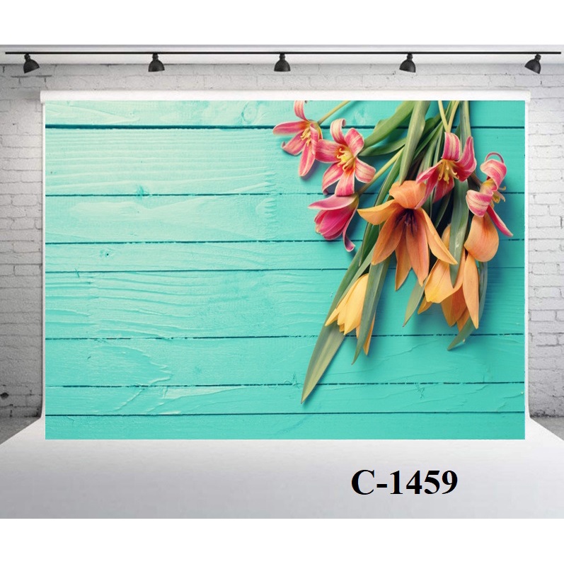 Phông Nền 3D Chụp Ảnh 125x80cm, Phông Vân Gỗ, Phông Vải 3D Báo Giá 2026-01-24 64 Mua Phông Nền 3D Chụp Ảnh 125x80cm, Phông Vân Gỗ, Phông Vải 3D Giá Tốt 64