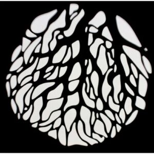 Bo Tao Hieu Ung Nanlite Pj Bm 19 36 4