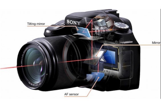Máy ảnh kỹ thuật số DSLR