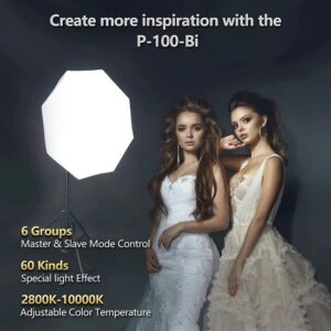 Den Led Sutefoto P100 Bi Color 3