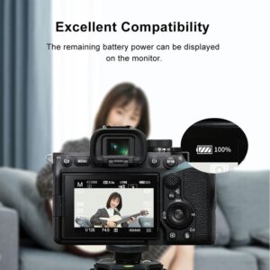 Pin Kingma Np Fz100 Dung Luong 2000mah Cong Typec 3