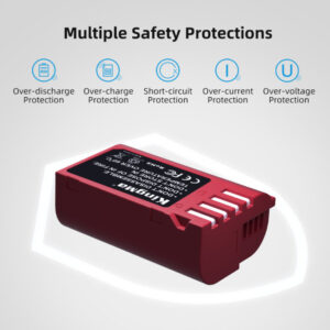 Bo Pin Sac Kingma Dmw Blk22 Cho May Anh Lumix Gh5 Gh6 Gh7 06