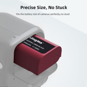 Bo Pin Sac Kingma Dmw Blk22 Cho May Anh Lumix Gh5 Gh6 Gh7 09