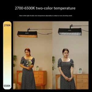 Den Led Rollflex C100bi 100w Bi Color 05