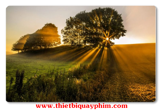 Tầm quan trọng của ánh sáng tự nhiên trong nhiếp ảnh