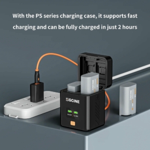 Pin Zgcine Bt Blk22 Cho May Anh Panasonic Lumix 2400mah 9