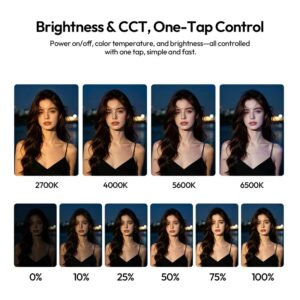 Den Led Ulanzi Ua50 50w Bi Color Portable Air Tube Light L316 6 Hlstudio