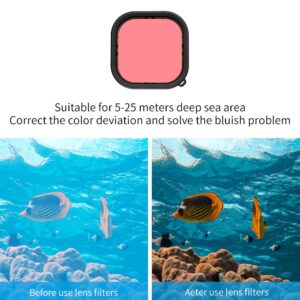 2026-10-04 TBQP Báo Giá Hà Nội - HCM - Telesin GP-WTP-904 – cho Gopro Hero 13/12/11/10/9 – Vỏ chống nước kèm theo kính lọc (tím/đỏ/đỏ tươi) 23 Telesin GP-WTP-904 – cho Gopro Hero 13/12/11/10/9 – Vỏ chống nước kèm theo kính lọc (tím/đỏ/đỏ tươi) chính hãng, hình ảnh thực tế mua tại HL Studio Phụ Kiện Studio 23
