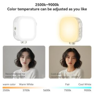 2026-10-04 TBQP Báo Giá Hà Nội - HCM - Telesin P5-BGD-03 – Đèn led Magnetic cho điện thoại 2000mAh 16 Telesin P5-BGD-03 – Đèn led Magnetic cho điện thoại 2000mAh chính hãng, hình ảnh thực tế mua tại HL Studio Đèn Led Quay Phim 16