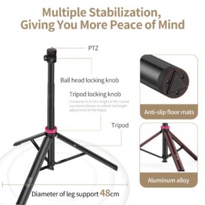 2026-10-04 TBQP Báo Giá Hà Nội - HCM - Ulanzi MT-79 (New 2026) – Chân tripod tự bung cho máy ảnh điện thoại T075GBB2 15 Ulanzi MT-79 (New 2026) – Chân tripod tự bung cho máy ảnh điện thoại T075GBB2 chính hãng, hình ảnh thực tế mua tại HL Studio Tripod Ulanzi 15